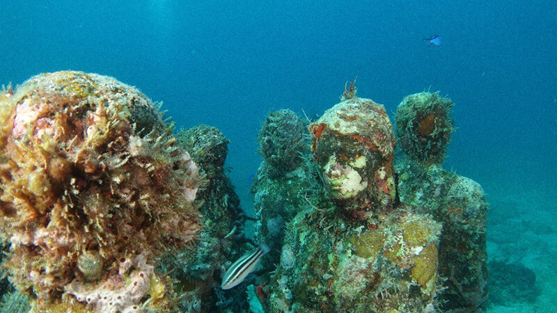 Neptune Memorial Reef