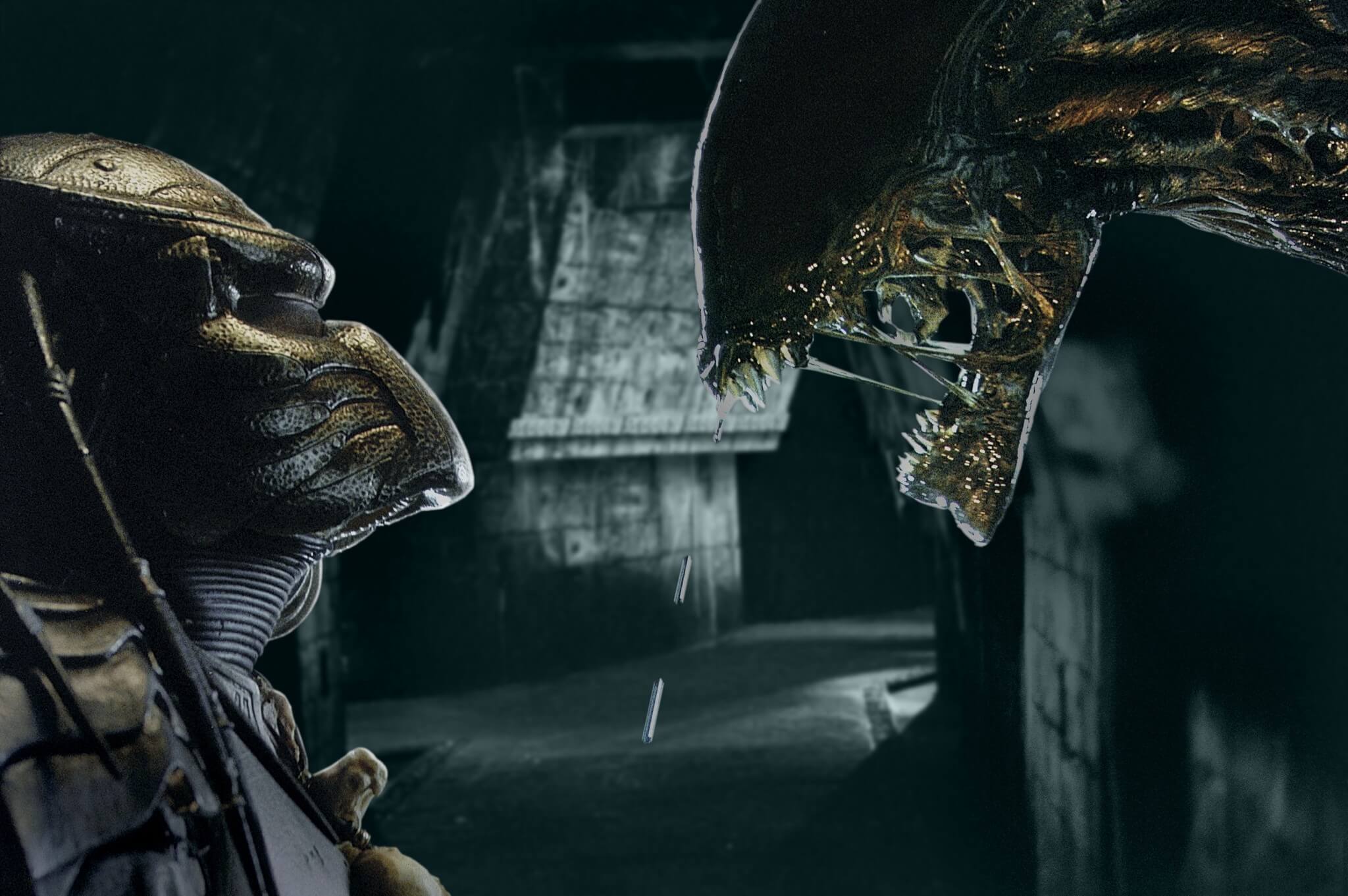 Alien vs Predador: de olho em novos horizontes - Macabra.TV